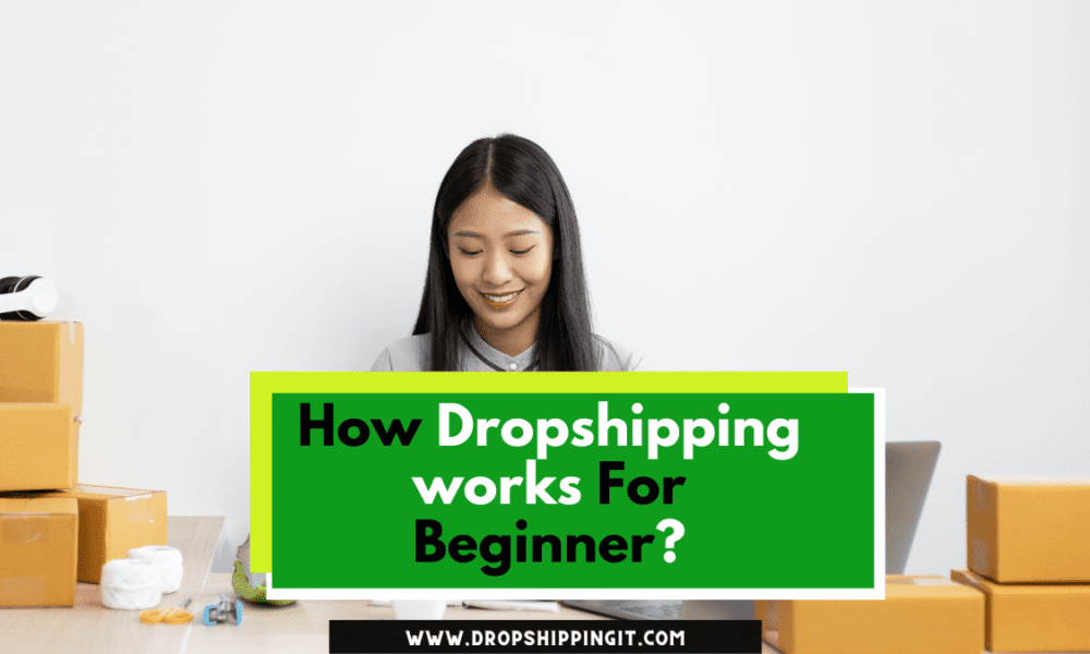How Dropshipping works For Beginners