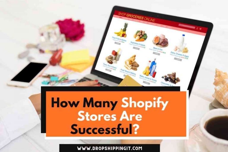 How Many Shopify Stores Are Successful