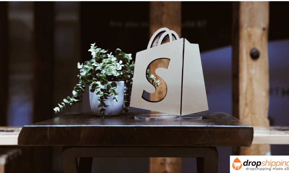 Types of shopify stores
