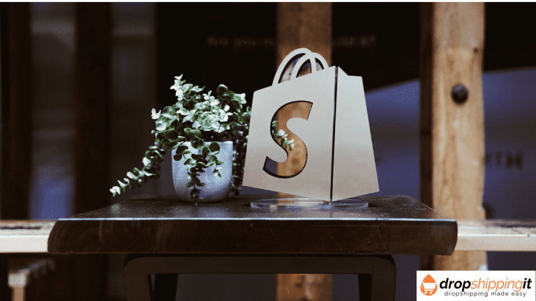 Types of shopify stores