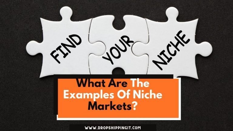 What Are The Examples Of Niche Markets