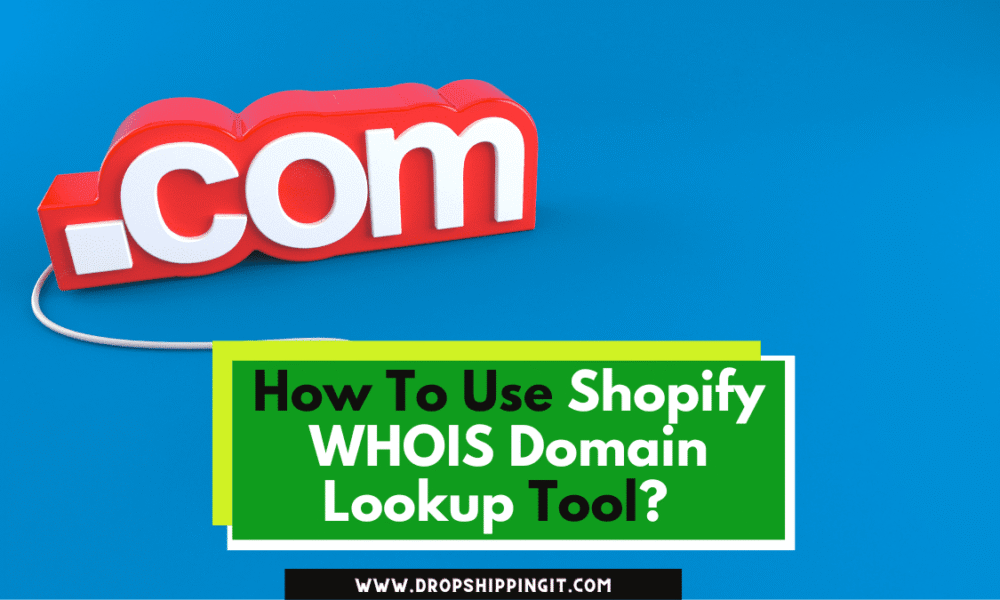How To Use Shopify WHOIS Domain Lookup Tool