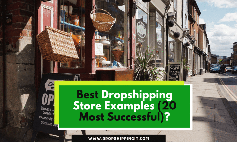 Best Dropshipping Store Examples