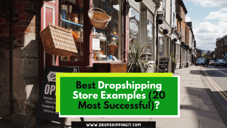 Best Dropshipping Store Examples (20 Most Successful) In 2023