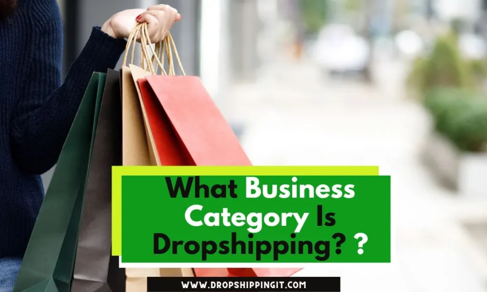 What Business Category Is Dropshipping