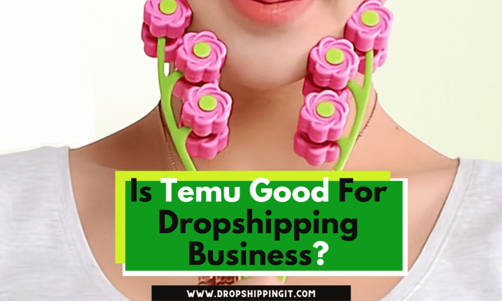 Is Temu Good For Dropshipping Business