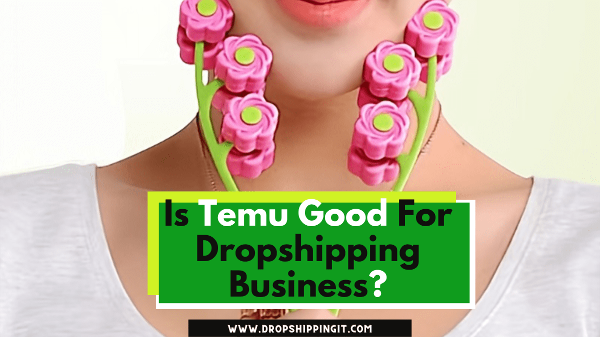 Is Temu Good For Dropshipping Business