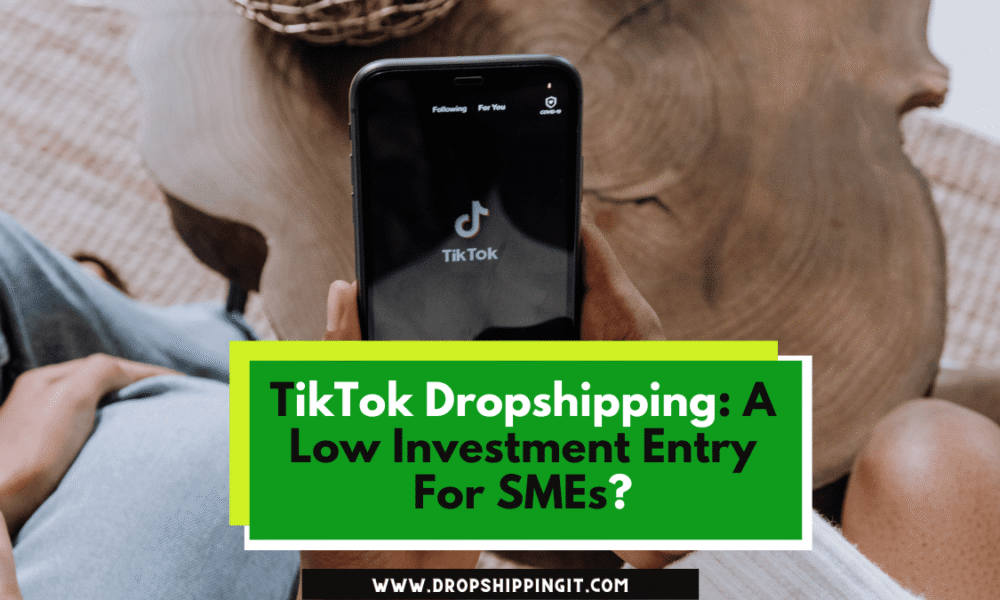 TikTok Dropshipping: A Low Investment Entry For SMEs