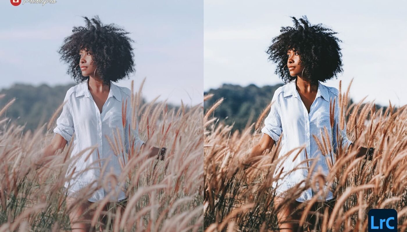 How To Sell Digital Products On Shopify Store 1 lightroom presets