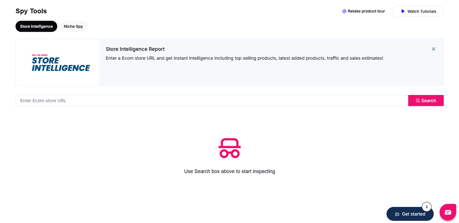 Store Intelligence
